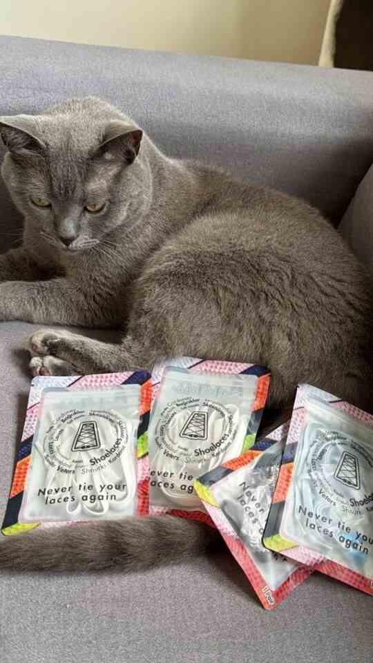 Agletless elastische veters verpakkingen met kat